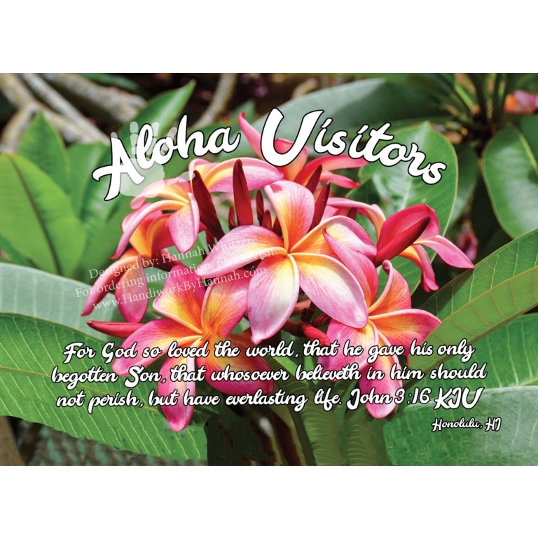 Pink Plumeria (POST0076) 10 Postcards Hannah's Handiwork