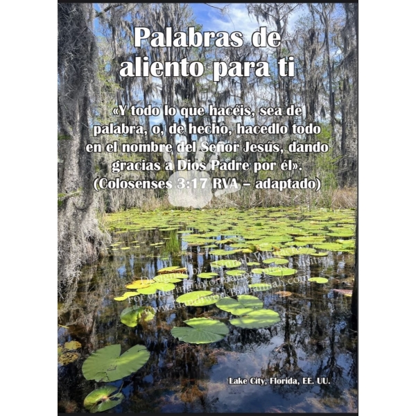 Lily Pad Lake (SPCARD-0108)- 10 Cards
