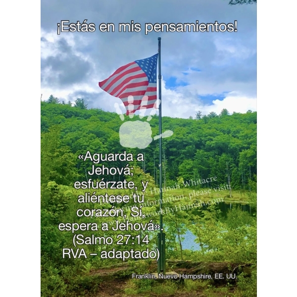 Flag Pole (SPCARD-0088) – 10 Cards