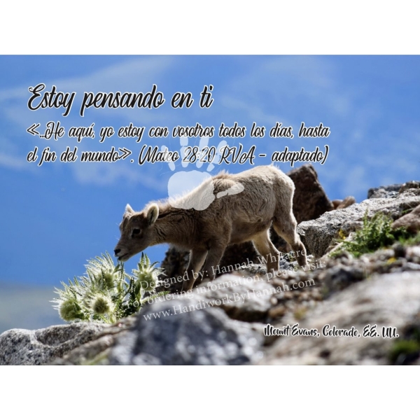 Baby Goat (SPCARD-0057) – 10 Cards