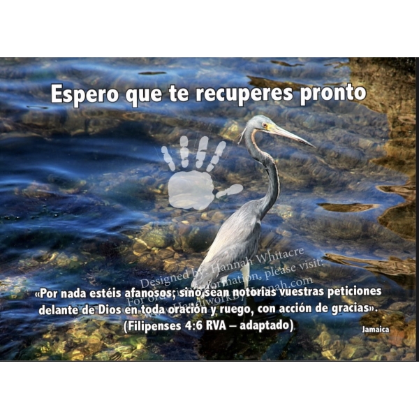 Crane (SPCARD-0012) – 10 Cards