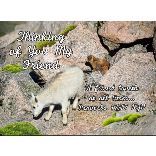 Baby Goat 2 (CARD-0158)- 10 Cards