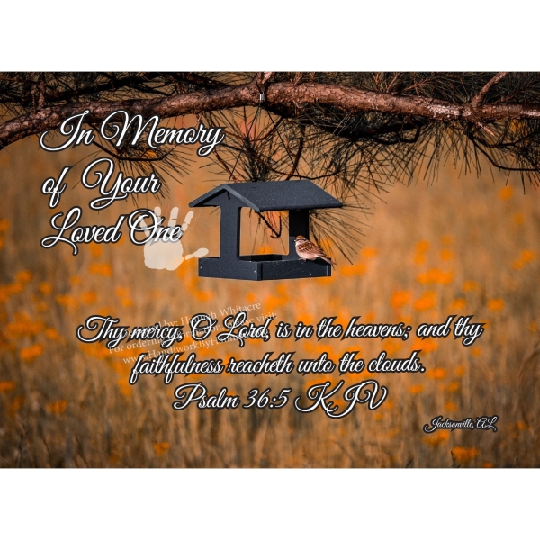 Bird Feeder (CARD-0155)- 10 Cards