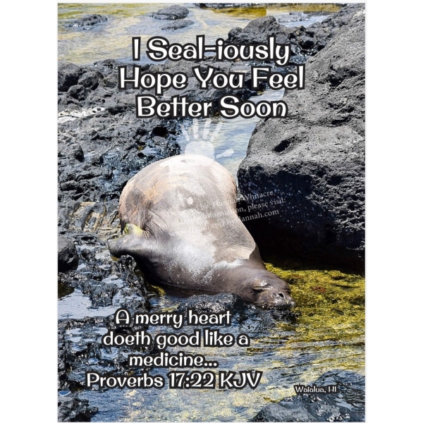 Seal (CARD-0154)- 10 Cards