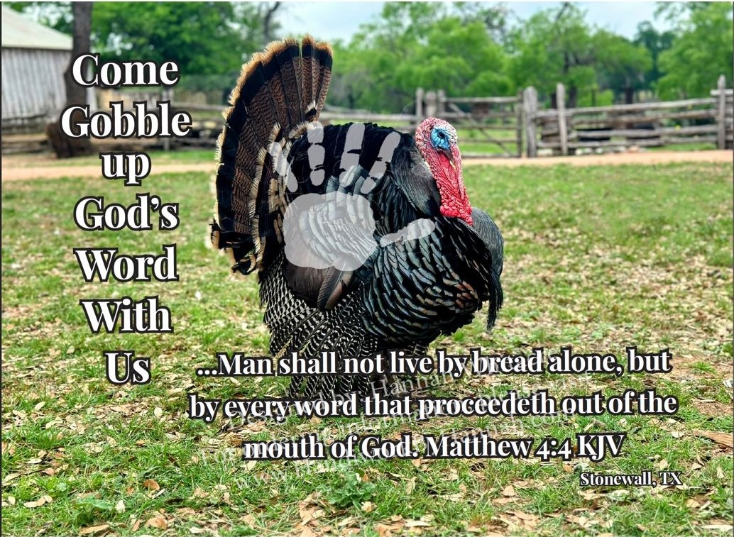 Featured image for “Turkey (CARD-0168)- 10 Cards”