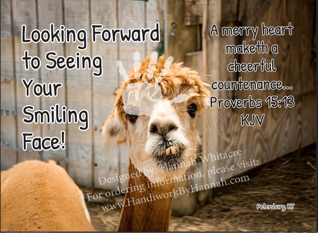 Featured image for “Alpaca (CARD-0167)- 10 Cards”