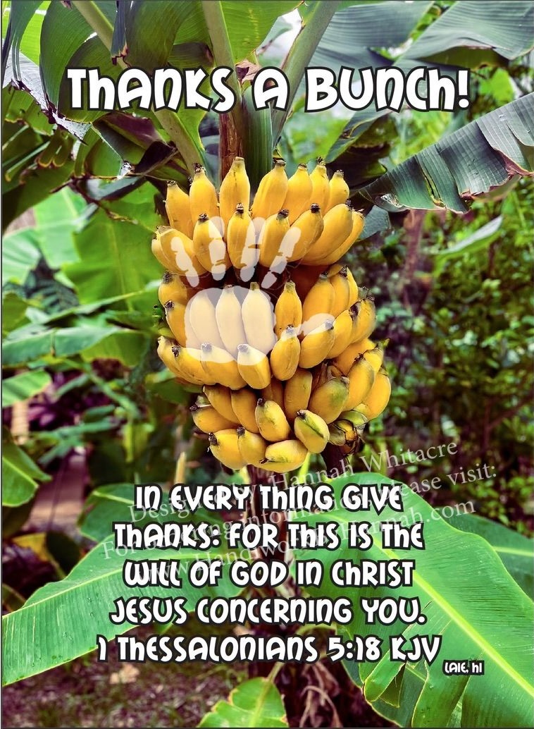 Featured image for “Bananas (CARD-0166)- 10 Cards”