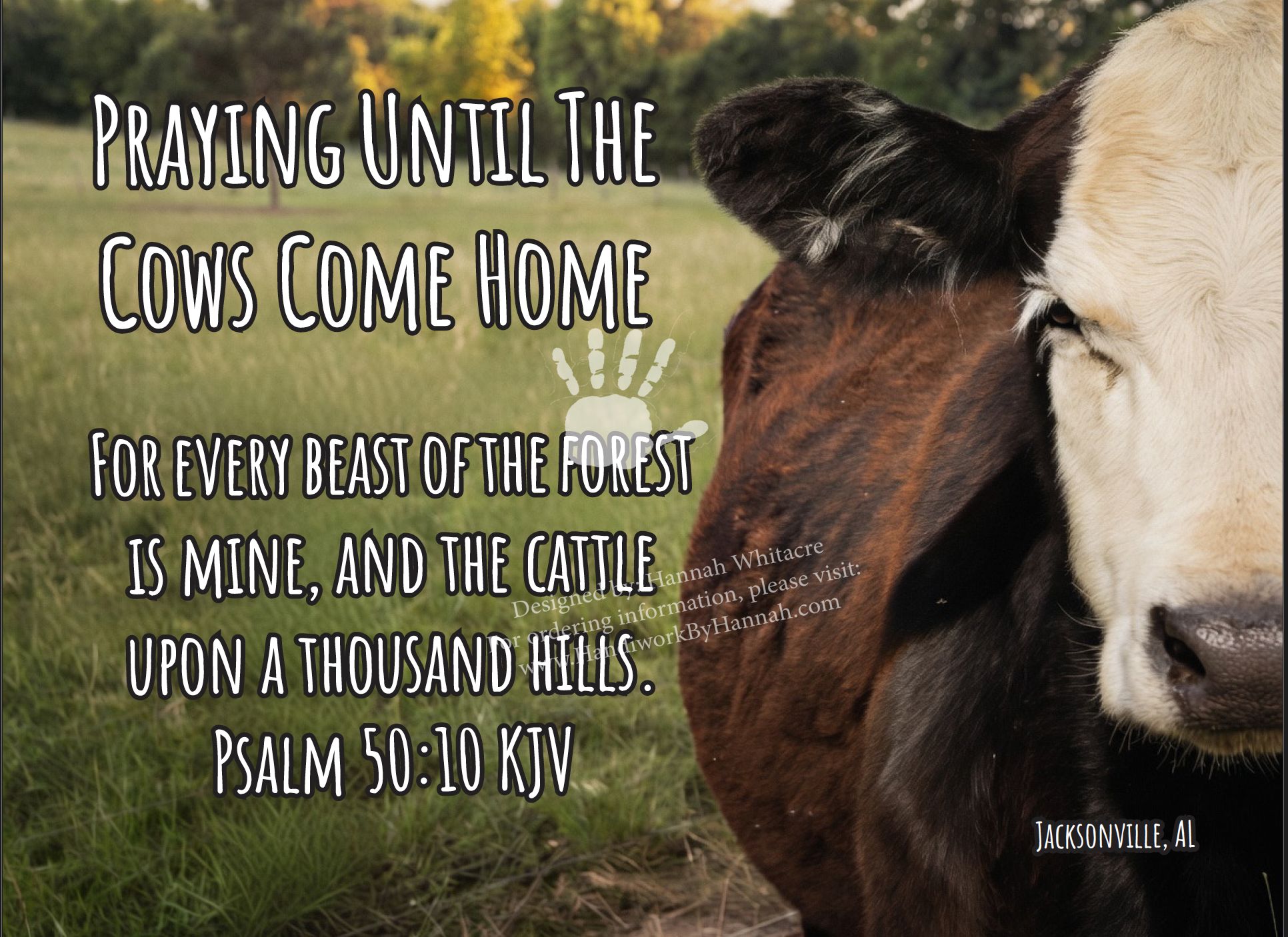 Featured image for “Cow (CARD-0164)- 10 Cards”